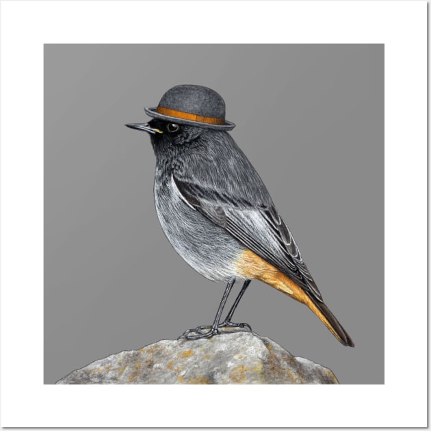 Black redstart Wall Art by Mikhail Vedernikov